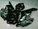 Argent Noir Carénage Honda CBR 1000 RR 04-05 Argent Noir Carénage Honda CBR 1000 RR 04-05
