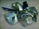 Blanc Bleu Flamme Carénage Honda CBR 600 RR 05-06 Blanc Bleu Flamme Carénage Honda CBR 600 RR 05-06