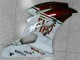 Brun Blanc Carénage Yamaha R6 06-07 Brun Blanc Carénage Yamaha R6 06-07