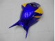 Jaune Bleu Carénage Honda CBR 1000 RR 06-07