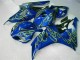 Jaune Flamme Bleu Carénage Honda CBR 1000 RR 06-07