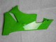 Noir Vert 636 Carénage Kawasaki ZX6R 09-12 Noir Vert 636 Carénage Kawasaki ZX6R 09-12