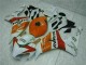Orange Blanc Repsol Carénage Honda CBR 1000 RR 04-05 Orange Blanc Repsol Carénage Honda CBR 1000 RR 04-05