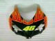 Orange Vert Carénage Honda CBR 1000 RR 04-05 Orange Vert Carénage Honda CBR 1000 RR 04-05