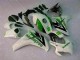 Vert Blanc Carrosserie Honda CBR 1000 RR 08-11 Vert Blanc Carrosserie Honda CBR 1000 RR 08-11