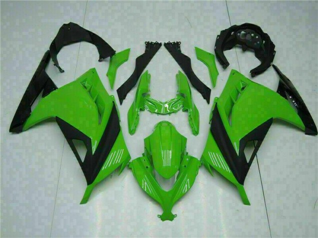 Vert Carénage Kawasaki EX300 13-16 Vert Carénage Kawasaki EX300 13-16