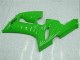 Vert Kit Carénages Complet Kawasaki ZX6R 05-06 Vert Kit Carénages Complet Kawasaki ZX6R 05-06