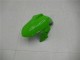 Vert Noir Argent Carénage Kawasaki EX300 13-16 Vert Noir Argent Carénage Kawasaki EX300 13-16