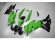 Vert Noir Carénage Kawasaki EX650 09-11 Vert Noir Carénage Kawasaki EX650 09-11