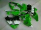 Vert Noir Carénages & Carrosserie Kawasaki ZX6R 00-02 Vert Noir Carénages & Carrosserie Kawasaki ZX6R 00-02