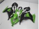 Vert Noir Carénages Kawasaki EX300 13-16 Vert Noir Carénages Kawasaki EX300 13-16