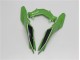 Vert Noir Carénages Kawasaki EX300 13-16 Vert Noir Carénages Kawasaki EX300 13-16