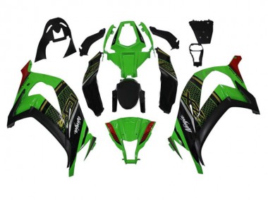 Vert Noir Carénages Kawasaki ZX10R 11-15