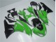 Vert Noir Carrosserie Kawasaki ZX6R 09-12 Vert Noir Carrosserie Kawasaki ZX6R 09-12