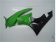 Vert Noir Carrosserie Kawasaki ZX6R 09-12 Vert Noir Carrosserie Kawasaki ZX6R 09-12