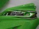 Vert Noir Kit Carénages Complet Kawasaki EX250 08-12 Vert Noir Kit Carénages Complet Kawasaki EX250 08-12