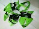 Vert Noir Kit Carénages Complet Kawasaki ZX6R 00-02 Vert Noir Kit Carénages Complet Kawasaki ZX6R 00-02