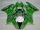 Vert Noir LeoVince Carénage Kawasaki ZX6R 09-12 Vert Noir LeoVince Carénage Kawasaki ZX6R 09-12