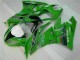 Vert Noir LeoVince Carénage Kawasaki ZX6R 09-12 Vert Noir LeoVince Carénage Kawasaki ZX6R 09-12